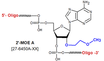 picture of 2'-O-methoxy-ethyl Bases (2'-MOE)